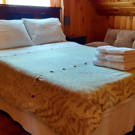 Casa Treguel B&B Villarrica Esterno foto