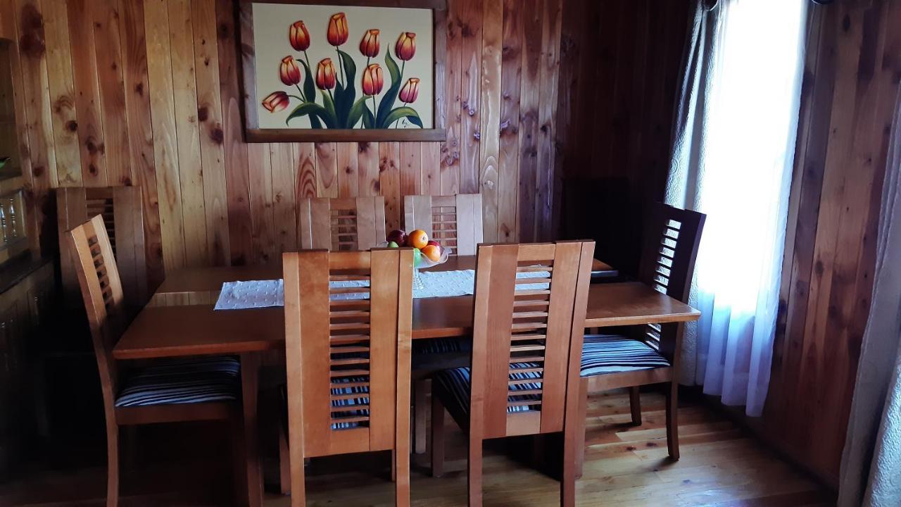 Casa Treguel B&B Villarrica Esterno foto